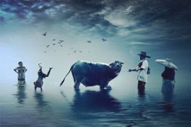  优盘不识别   固态不识别 数据恢复    立等可取